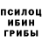 Псилоцибиновые грибы Psilocybine cubensis Rekcha
