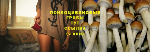 мяу мяу мука Аркадак