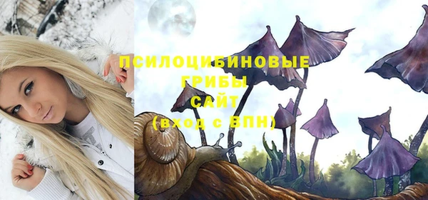 мяу мяу мука Армянск