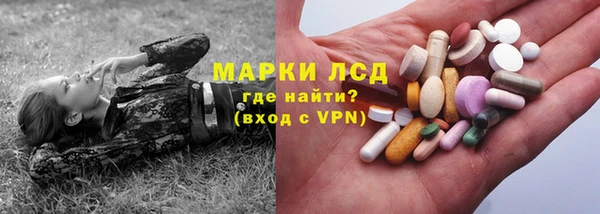 мяу мяу мука Аркадак