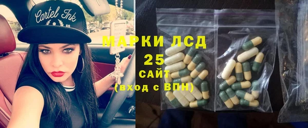мяу мяу мука Аркадак