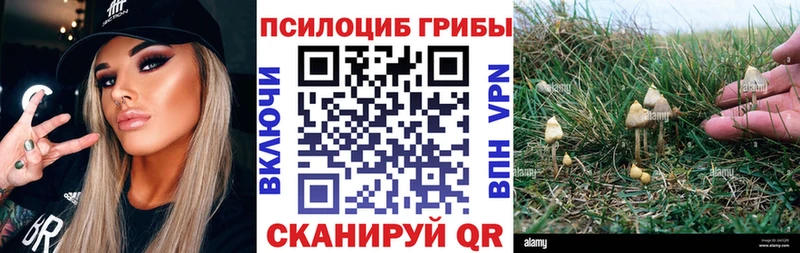 Галлюциногенные грибы MAGIC MUSHROOMS  купить наркотики цена  hydra ссылка  Голицыно 